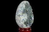 Crystal Filled Celestine (Celestite) Egg Geode - Madagascar #98784-1